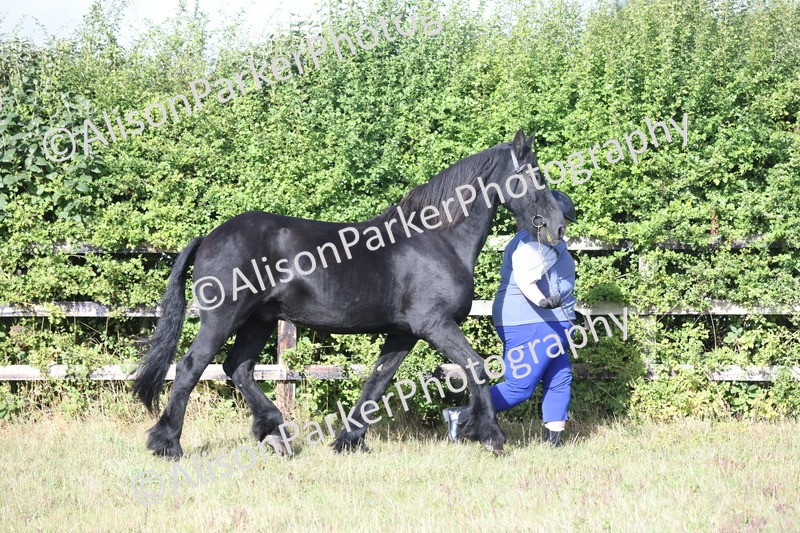 20250831-1343 - Class 21 - Inhand Open