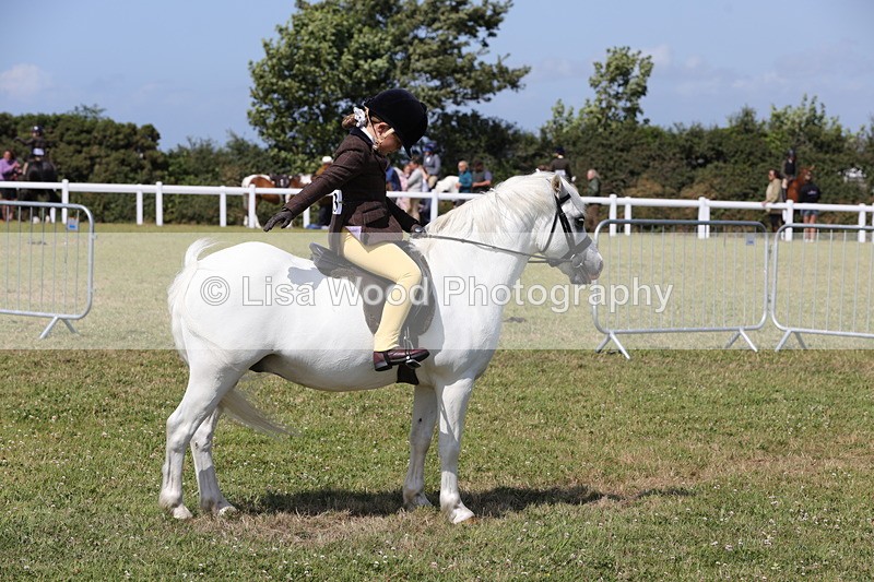1X9A5393 - Class 37: NPS M&M First Ridden