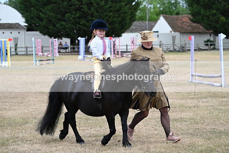 WJ7_8517 - Class 4 Prettiest Mare up to 14.2hh