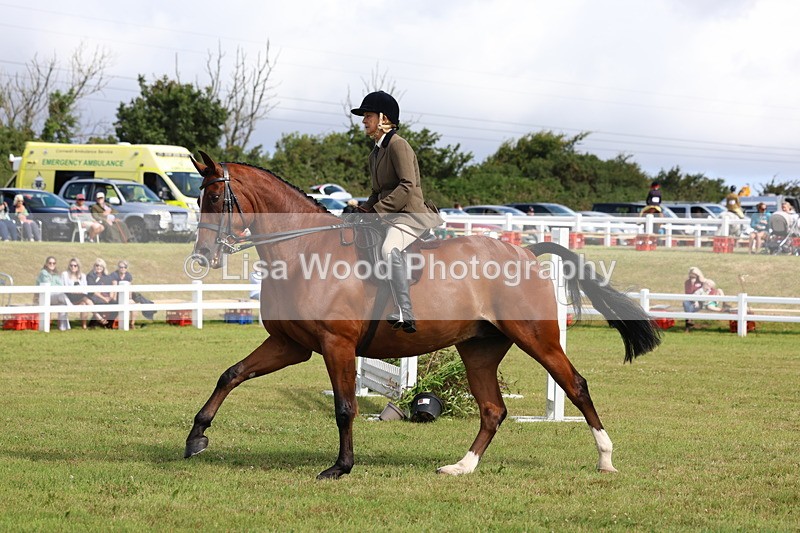 3E7A9488 - Class 4: Rising Star M/H Hunter