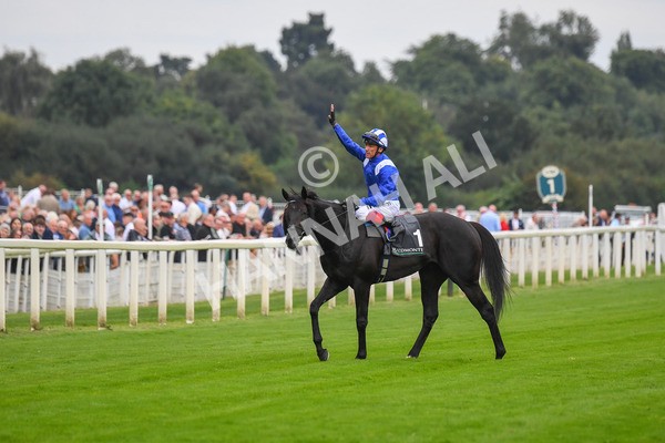230823-Race 4-Mostahdaf-0624 - Race 4 3.35pm Juddmonte International Stakes