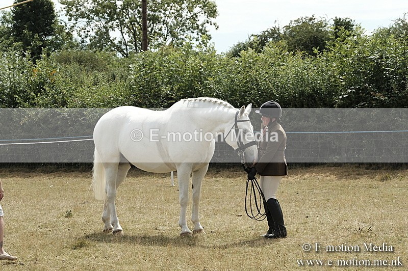 _PJP6025 - BVRC Show 2018 Ring 1