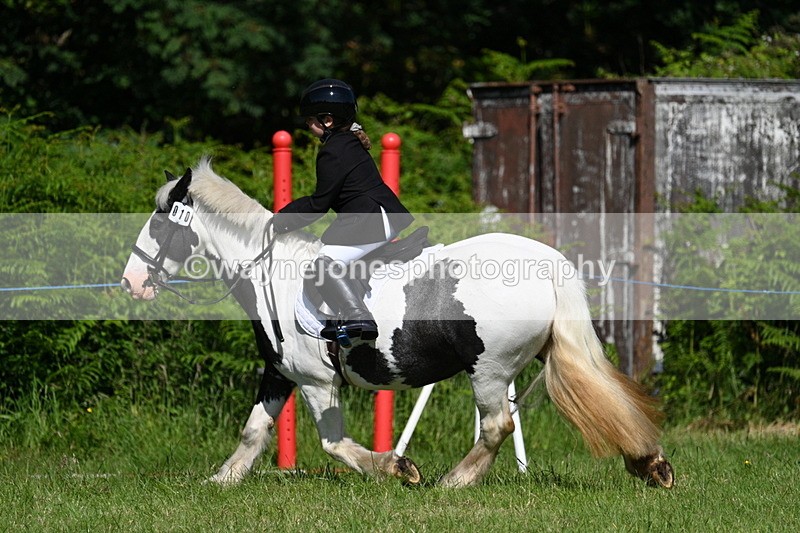 WJ7_0512 - Class 8 First Rally Pony