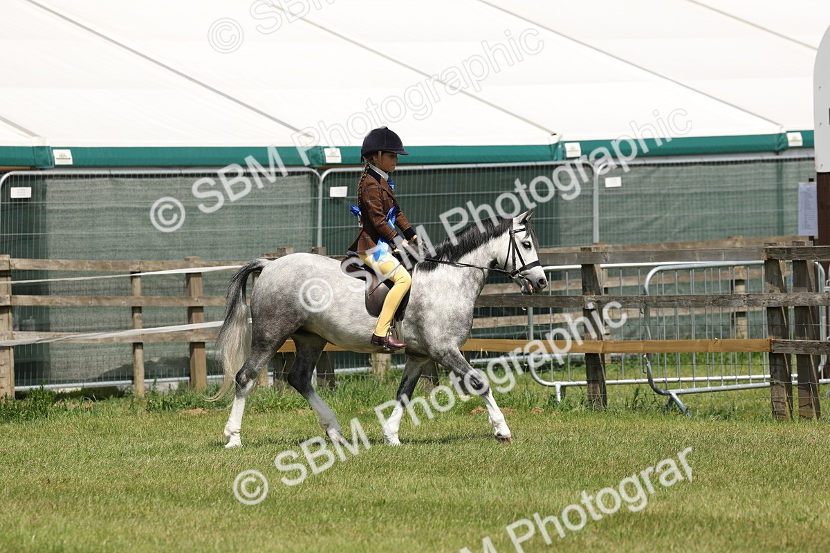 SBM_05387 - Class 24-25 - Mountain & Moorland In Hand Lead Rein and First Ridden