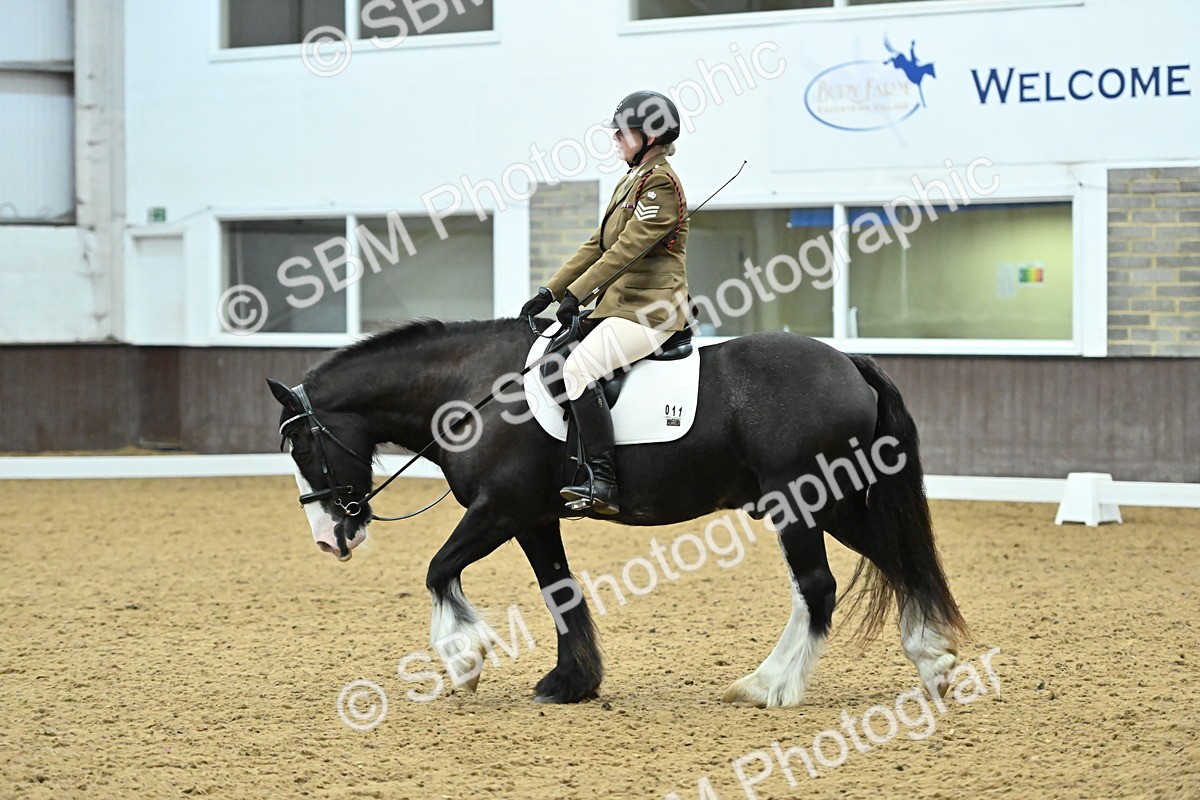 SBM_007470 - Class 81 - Novice 3