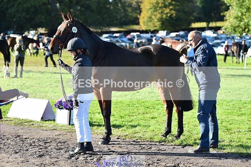 231022-105126-23546 - 466-SPARHANGER.VELVET-Tichy.Sanders-TrotUp+SJ
