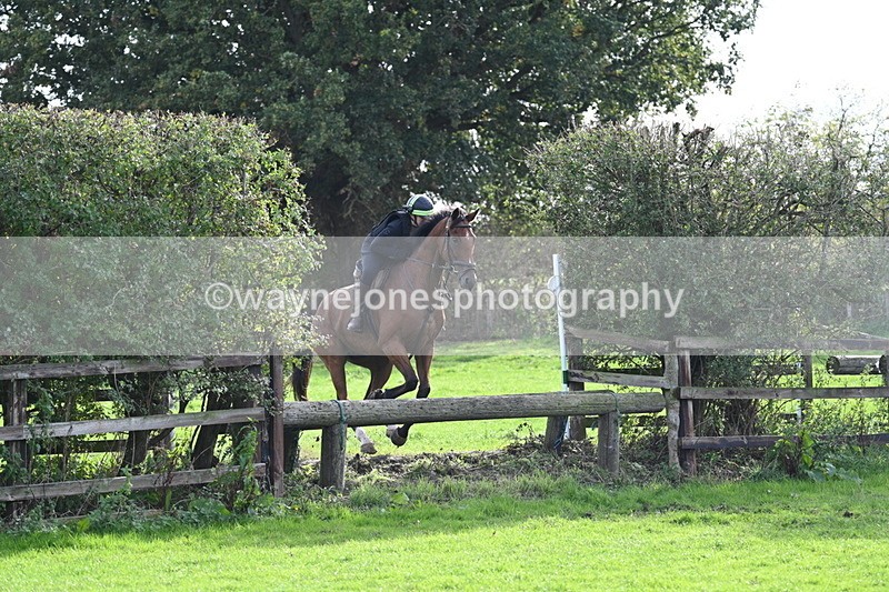 WJ7_0965 - Time 14:27 to 15:11