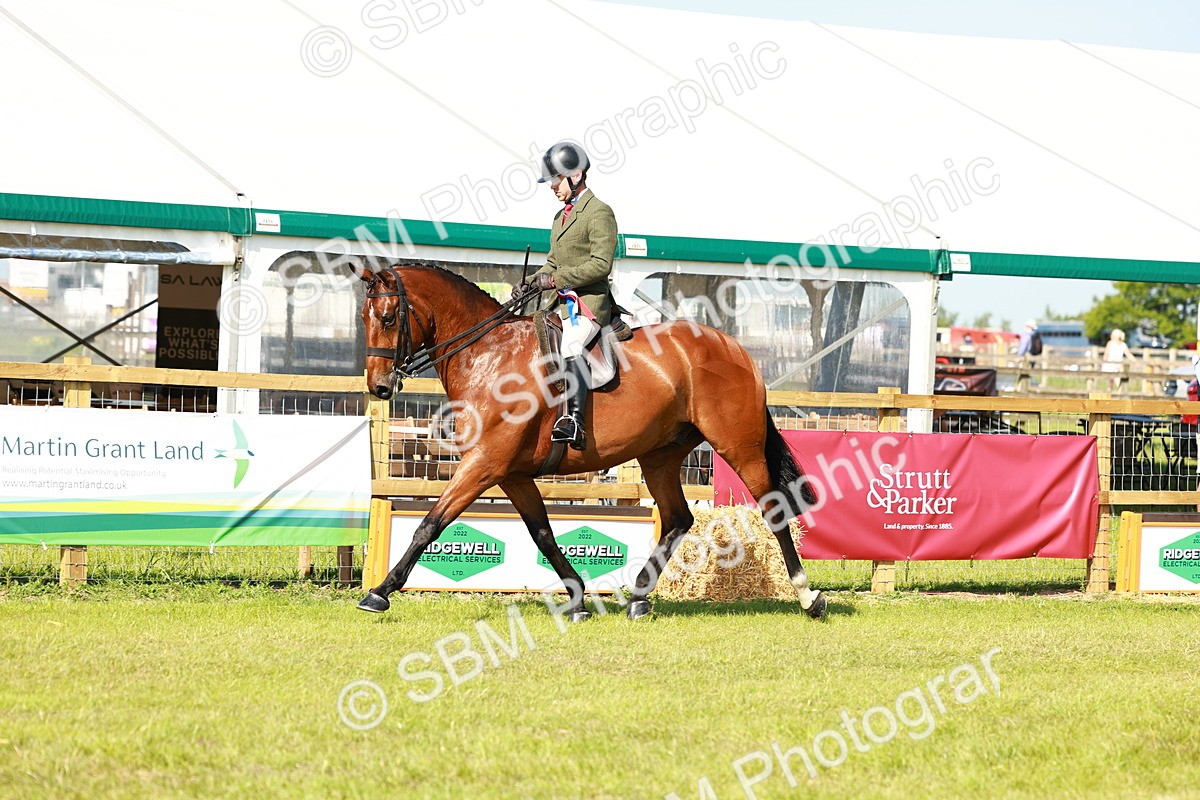 SBM_11994 - Class 66-69 - RIHS Ridden Hunters Inc Small Hunter