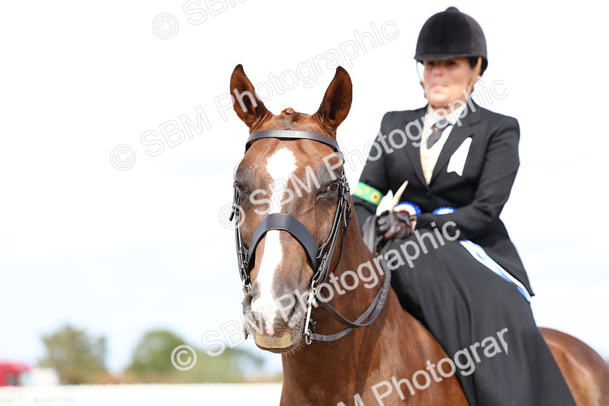 SBM_03280 - Class 22 - SSA Equitation (any age)