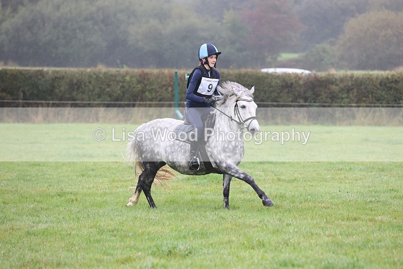 JPP_4966 - Class 1: 65cm : Showjumping