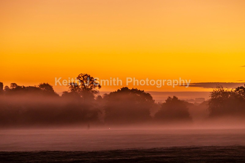 4KJS0283 - Trees in Abington Park