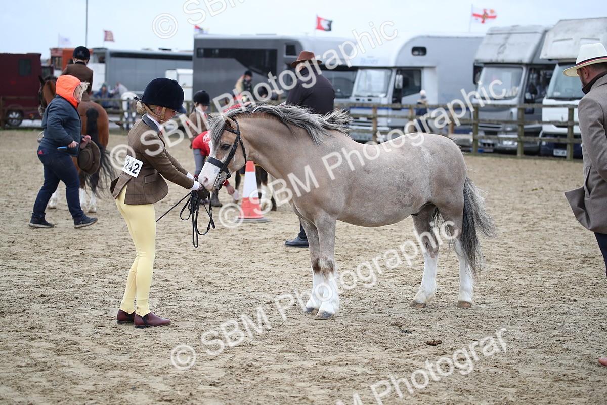 SBM_005972 - Class 10-13 - RIHS Small Large Breeds