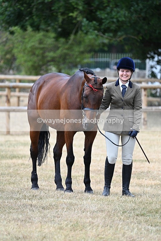 WJ7_1842 - Class 4a Prettiest Mare 14.2hh and over hand