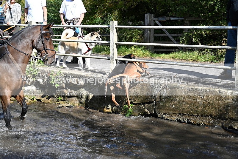 WJ7_6022 - Hounds Water Crossing