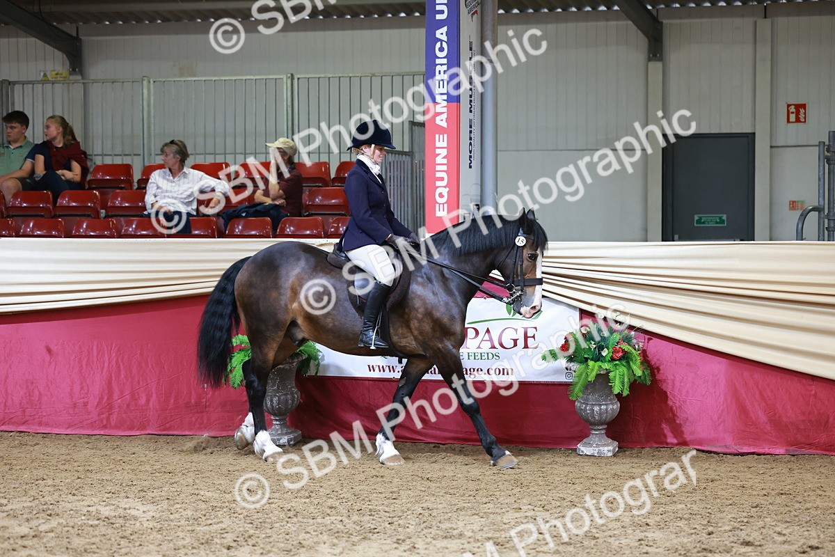 SBM_18521 - Class 952 - M&M Ridden Supreme Final