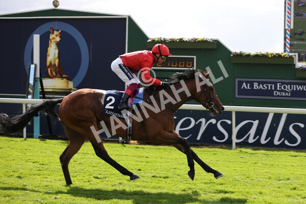 yr11052022r4-31 - Race 4 3.35pm Tattersalls Musidora Stakes