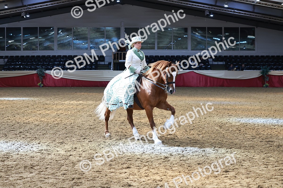 SBM_13711 - Class 106 - Ridden Costume -Astride Adult (15-19)