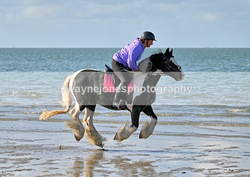 WJ7_3327_1 - Kellie & Churchill ... do Hayling Island 25-08-24