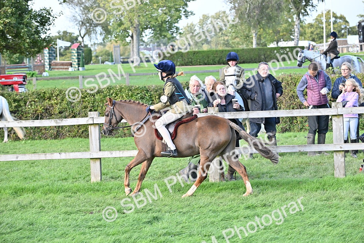 SBM_51235 - S22 - First Ridden show and show Hunter Pony
