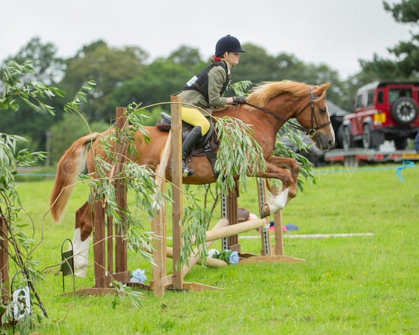 Dunblane show-147 - Dunblane and Doune Show Ring 1