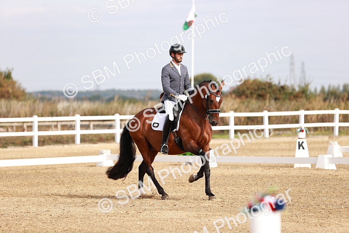 SBM_016952 - Class 10 - Medium 6