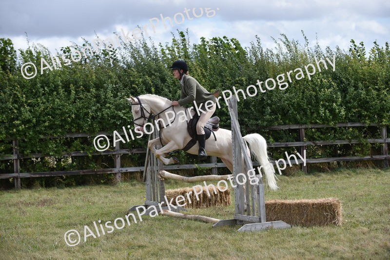 20250831-4075 - Class 13 - Working Hunter Horse or Pony