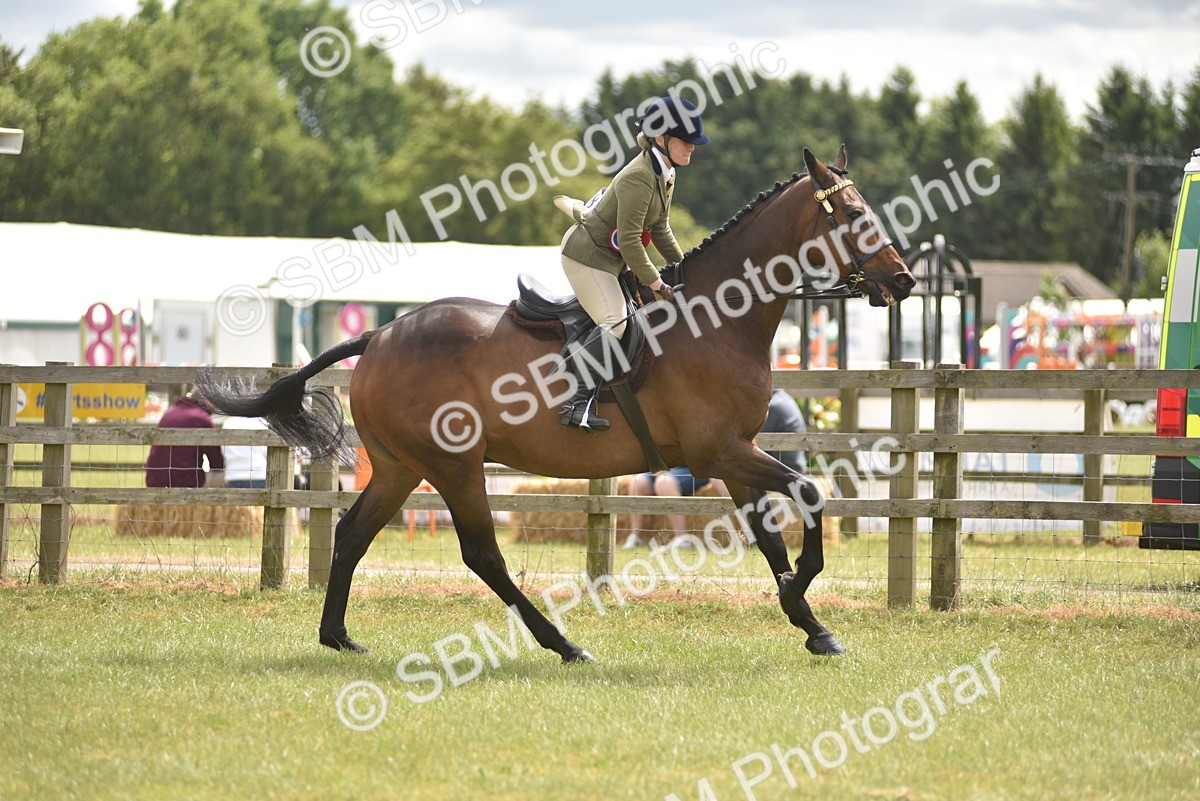 SBM_14298 - Class 113-114 - Retraining of Racehorses Ridden