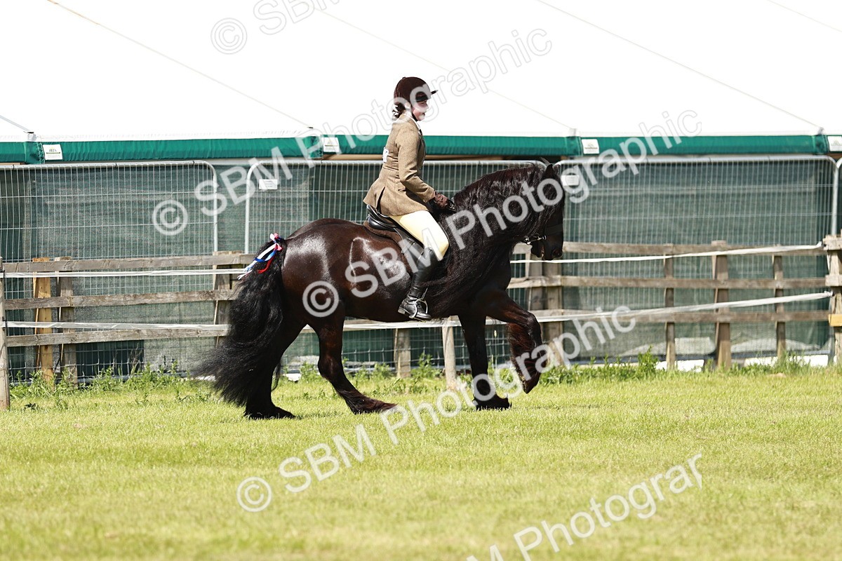 SBM_07122 - Class 26-30 - Mountain and Moorland Ridden