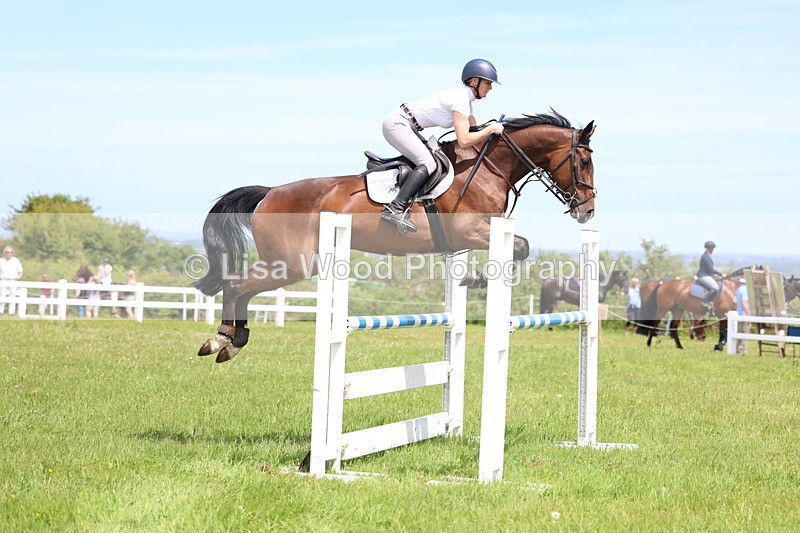 3E7A1344 - Class 12: Senior Foxhunter/1.20 open