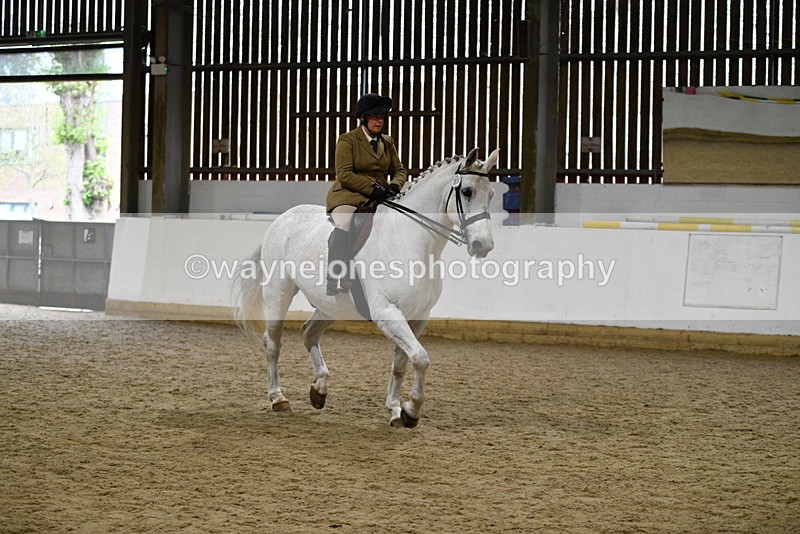 WJ5_9033 - Class 15 Ridden Show Horse