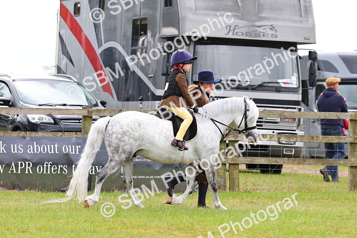 SBM_08251 - Class 42-43 - LIHS BSPS Heritage Working Sports Pony