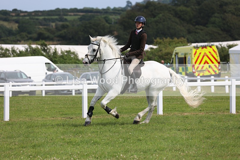 JPP_4012 - Class 24: Working Hunter 90cm