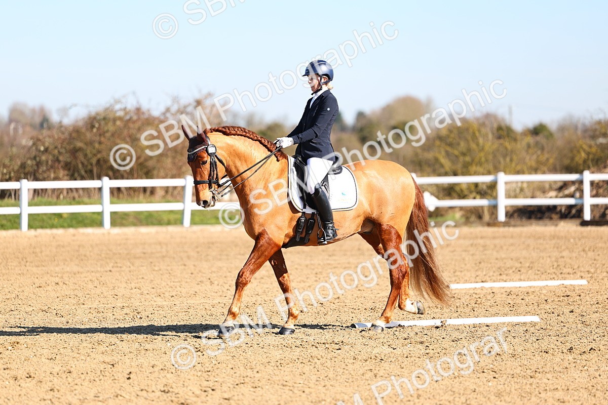 026A8501 - Class 2-6-5-4 - Paso Doble-Sevilla-Golega-Novato