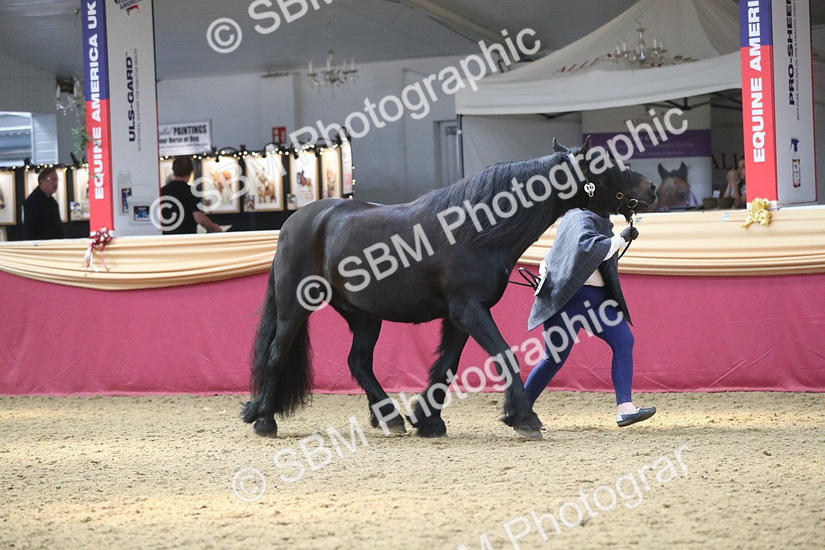 SBM_15227 - Class 501 M&M IH Supreme Final