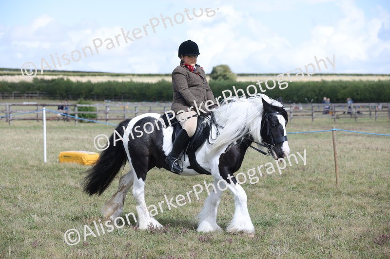 20250831-4195 - Class 20 - Ridden Coloured