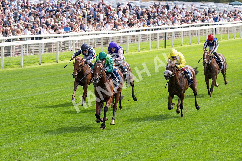 190826-Race 2-Haffner-0203 - Race 2 14.25pm Tattersalls Acomb Stakes