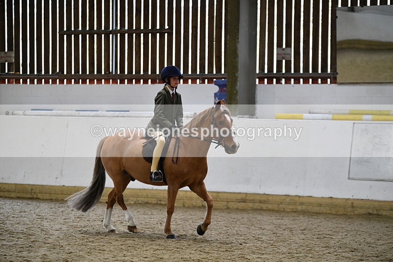 WJ5_6814 - Class 10 Childs Pony