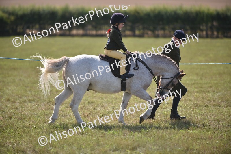 20260906-1772 - Class 11 - 13hh and Under