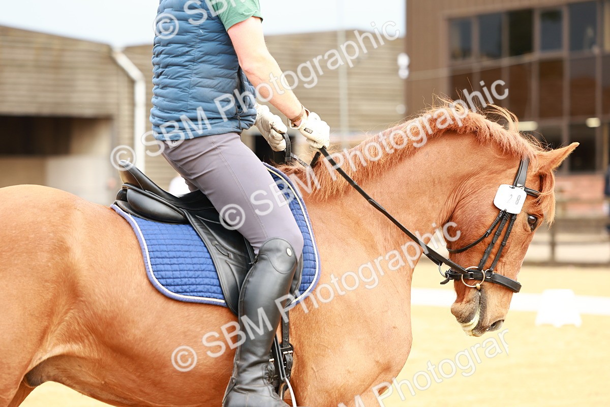 0B8A9251 - Class 5-4 - Novice 2-Prelim 3