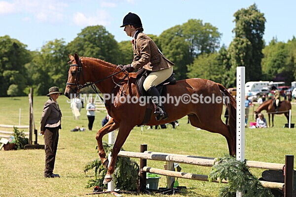 IMG_3787 - Working Hunter