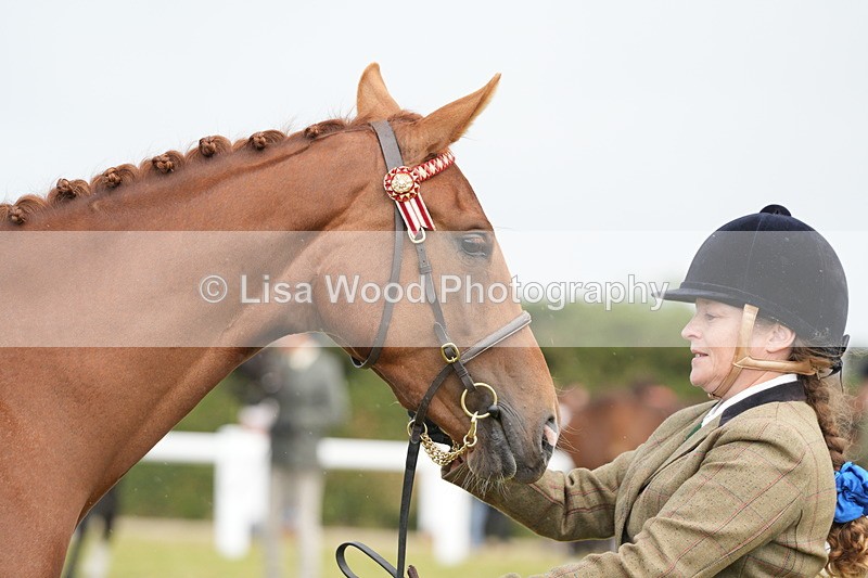 DSC06188 - Class 54: Hunter/Riding Horse/Hack 1 & 2 yr olds