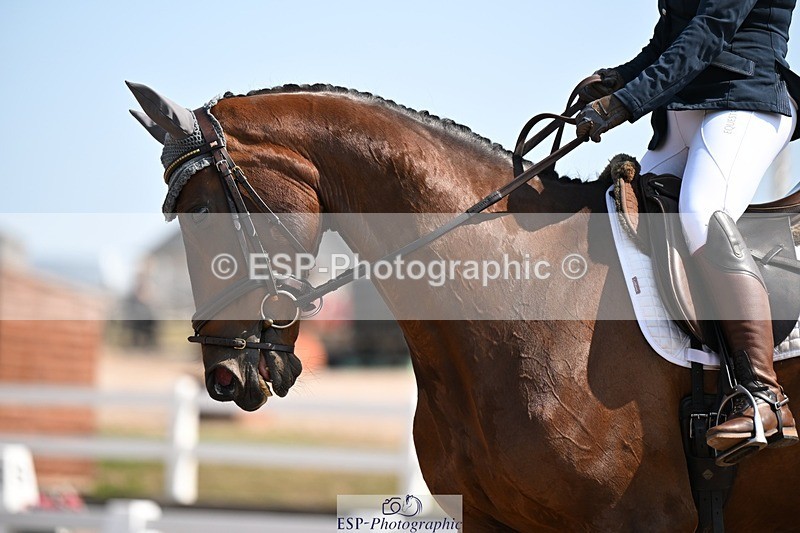 250816-120827-04432 - 056-Zara.BrewerBallylaffin.Ricki