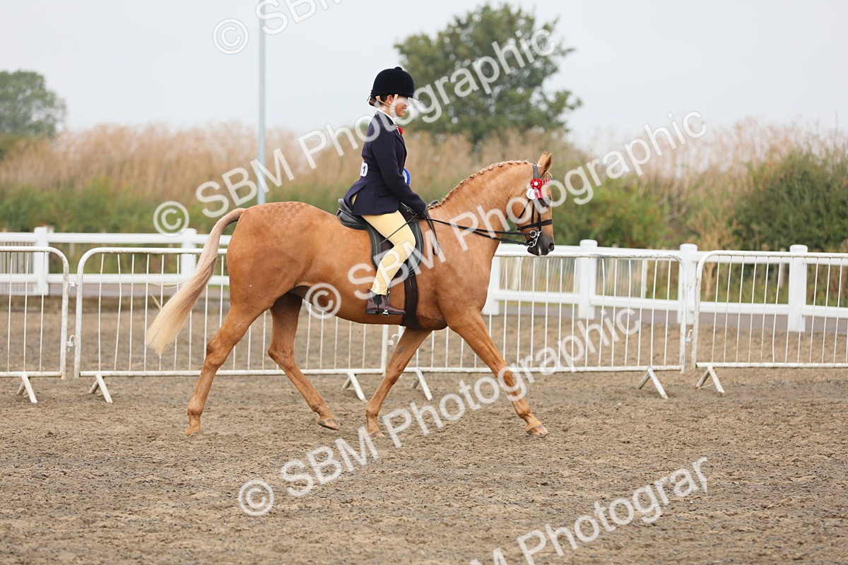 SBM_22447 - Young Rider Championship