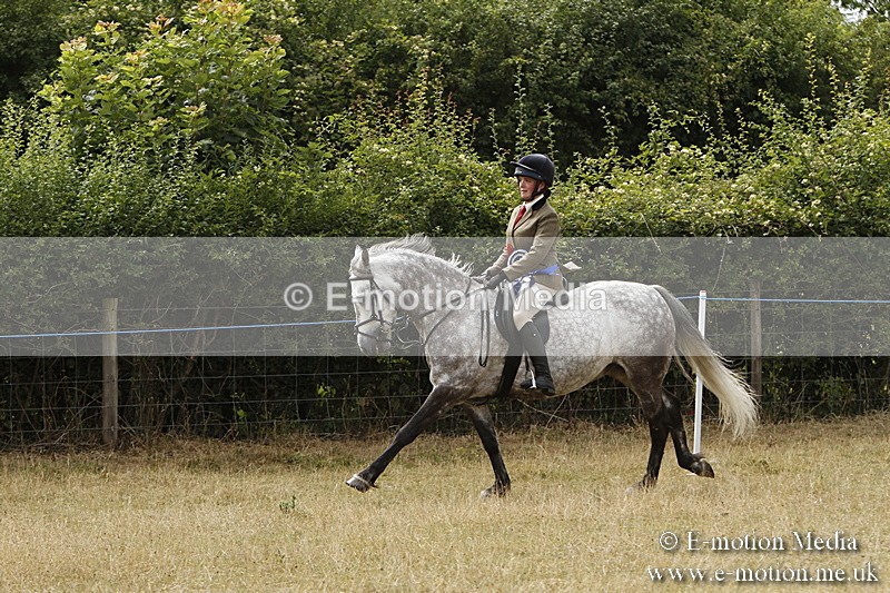 _BS_1040 - Working Hunter Championship BVRC Show 2018