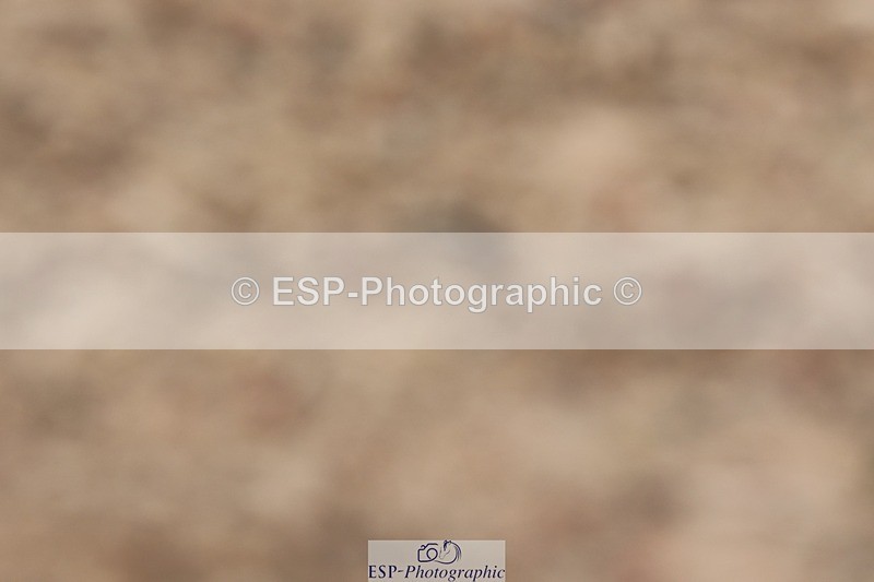 250622-152051-17279 - Cls 53 Medium 5, 14.50 to End