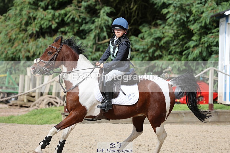 240823X-160044-19474 - 70cm Single Phase All