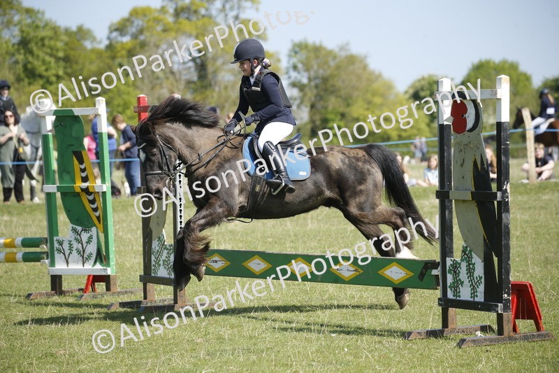 20250427-2024 - Class 13 - Novice Jumping 60cm