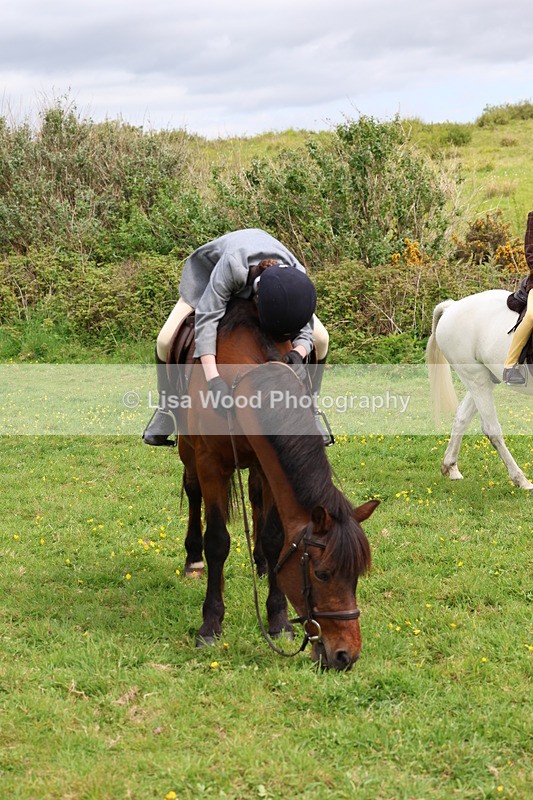 3E7A1568 - Class 8: Ridden Veteran Junoir and Senior