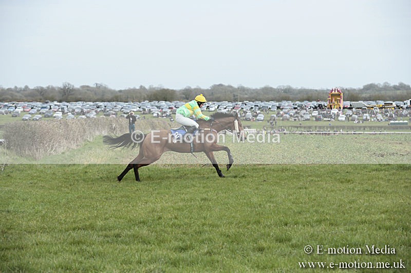 PtP 230319 49 - VWH Hunt Siddington Point-to-Point Racing 23/03/19