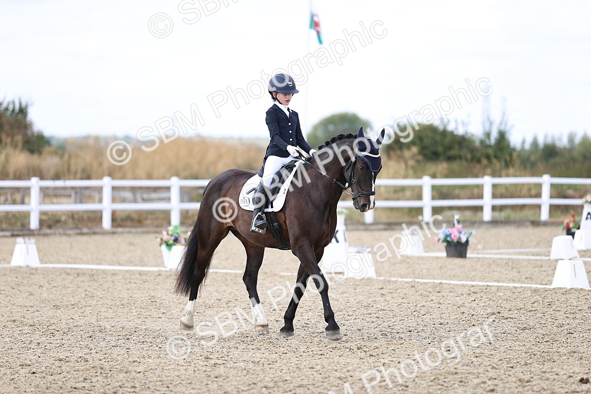 SBM_015323 - Class 5 - E5 Bronze 14.42.15.54